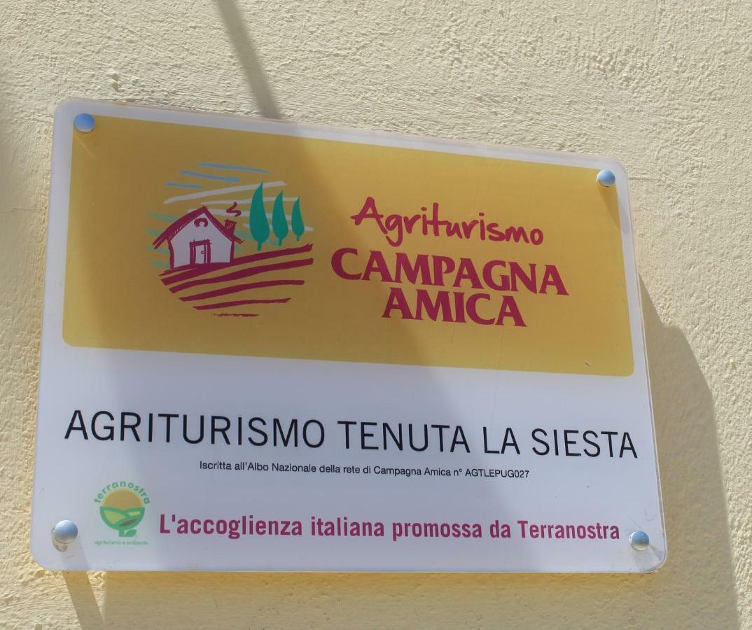 加利波利Agriturismo Tenuta La Siesta别墅 外观 照片