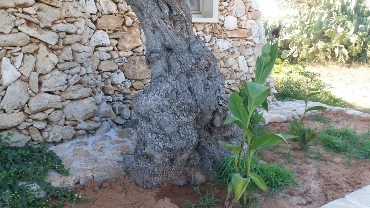 加利波利Agriturismo Tenuta La Siesta别墅 外观 照片